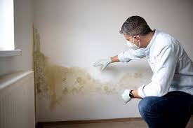 Best Mold Damage Restoration  in Ballard, UT